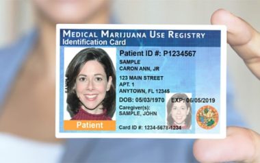 A Guide To Renewing Your Florida Medical Marijuana Id Card