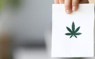 Can Cannabis Cure Or Prevent Covid-19?