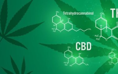 Is Medical Marijuana With Thc Better Than Cbd?